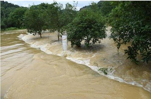 洪水夜袭,妻子遇难前发出诀别短信,当时她的心理是怎样的?