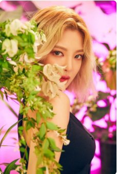 少女时代成员的照片及资料