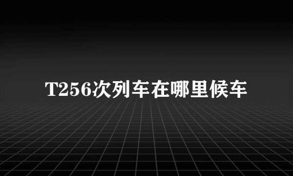 T256次列车在哪里候车