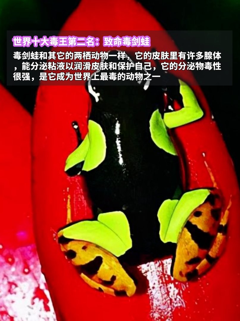 世界十大毒王，排名第一毋庸置疑