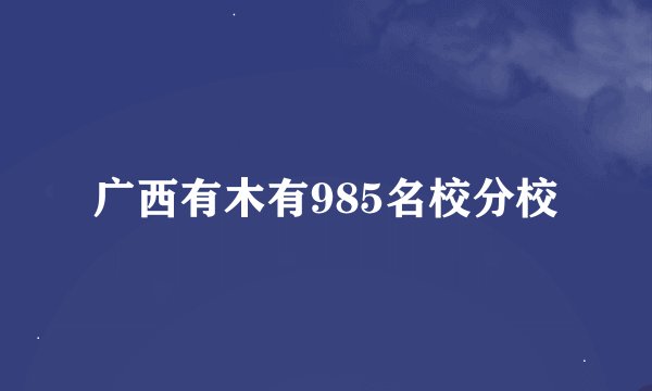 广西有木有985名校分校