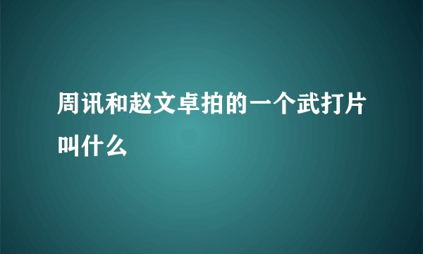 周讯和赵文卓拍的一个武打片叫什么