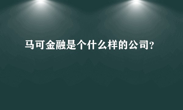 马可金融是个什么样的公司？