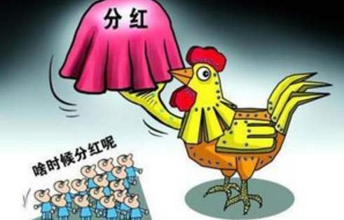 10派3是什么意思