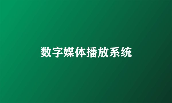 数字媒体播放系统
