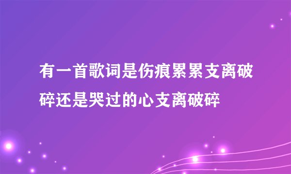 有一首歌词是伤痕累累支离破碎还是哭过的心支离破碎