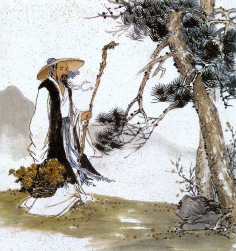 采菊东篱下悠然见南山什么意思古诗的翻译