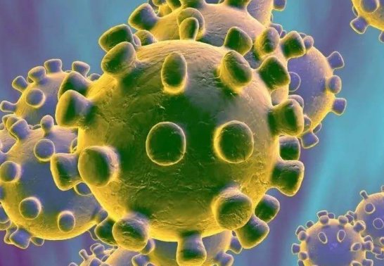 新冠阳性男子改核酸报告回国，面对这样的人你持什么看法？