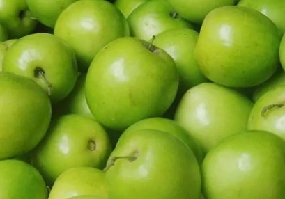 青枣产自哪里山东还是海南?