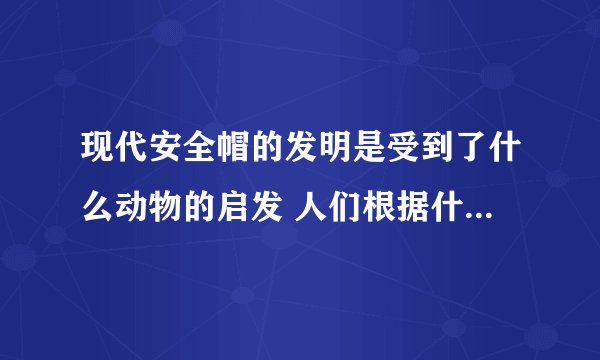现代安全帽的发明是受到了什么动物的启发 人们根据什么动物发明了新型安全帽