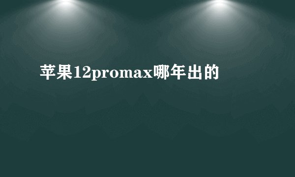 苹果12promax哪年出的