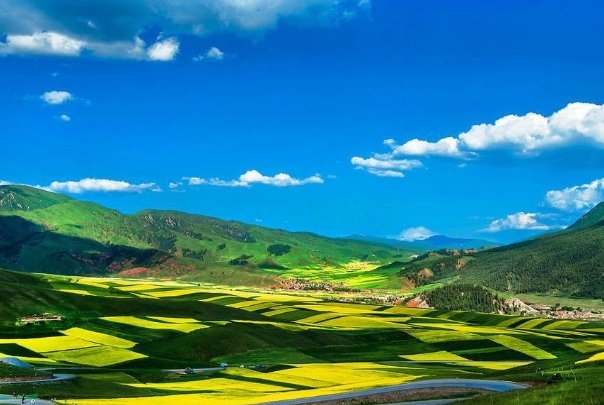 青海省中考分数线2023年公布