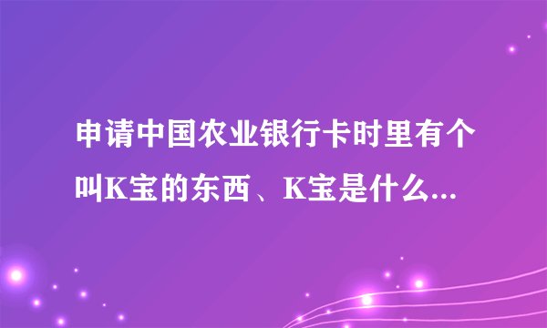 申请中国农业银行卡时里有个叫K宝的东西、K宝是什么意思？K宝的用途又是什么？