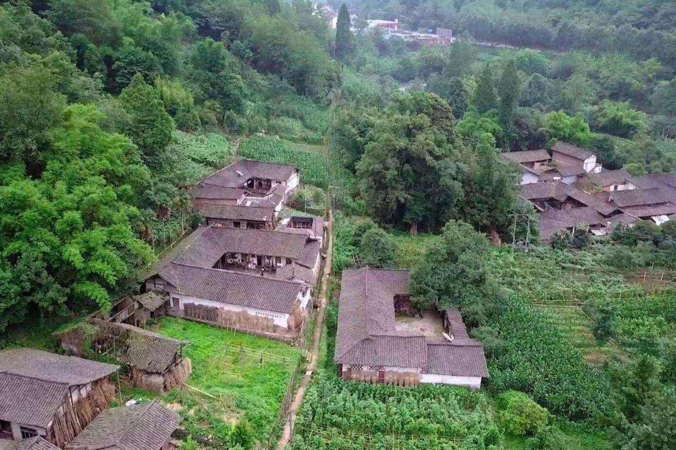 “返乡人员”是如何定义的?包括哪些人群?