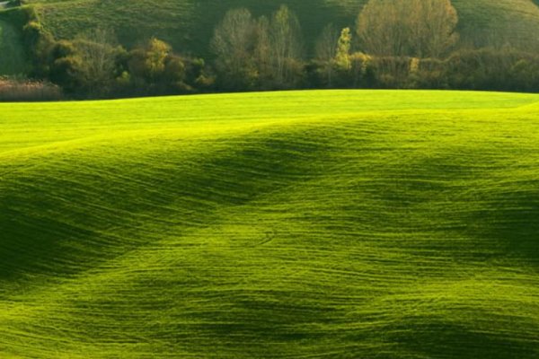 艾青的诗歌《绿》的原文是什么?