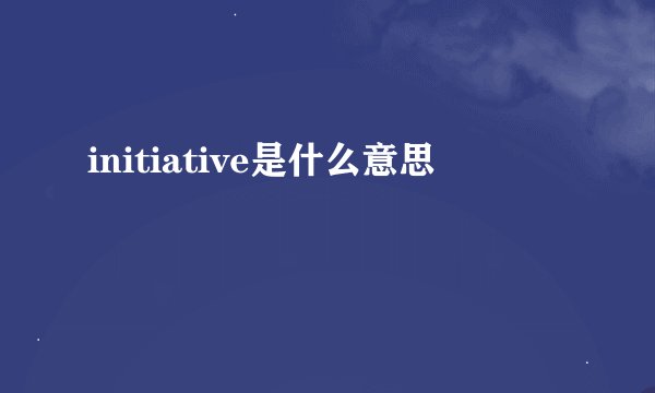 initiative是什么意思