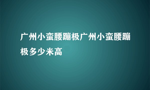 广州小蛮腰蹦极广州小蛮腰蹦极多少米高