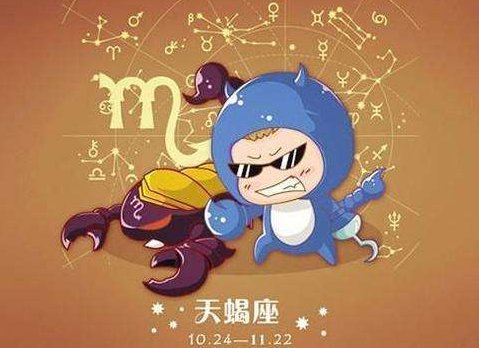 11月20日什么星座