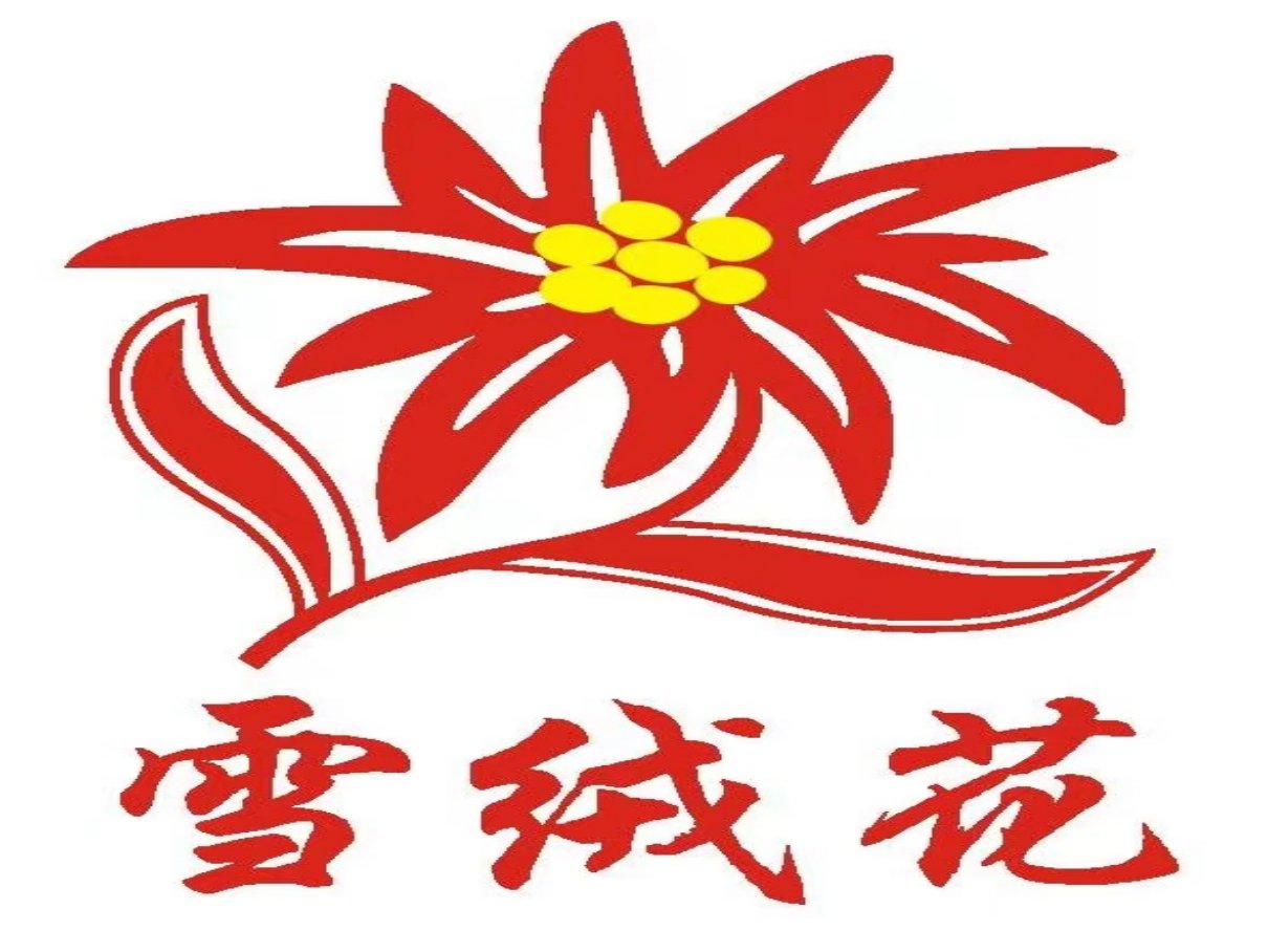 找保姆最好的平台