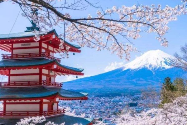 日本的110是报警电话吗