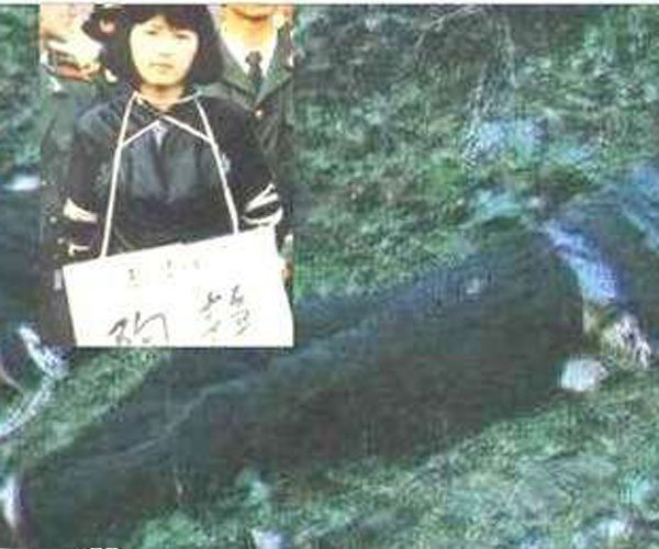 陶静案件详细介绍 是爱的太深害了这个女孩吗