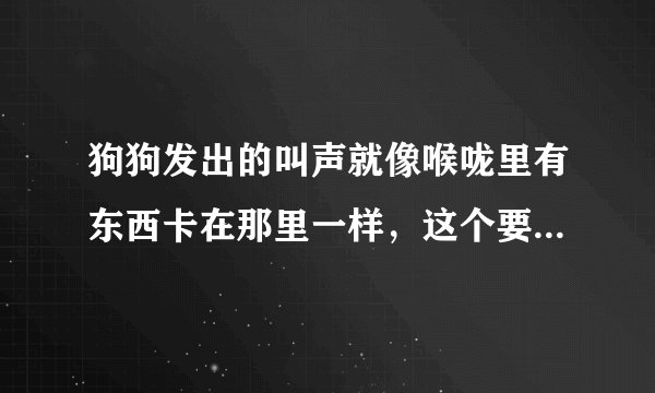 狗狗发出的叫声就像喉咙里有东西卡在那里一样，这个要怎么治？