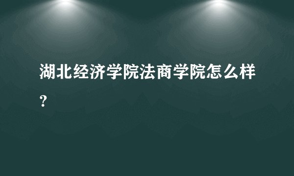 湖北经济学院法商学院怎么样?