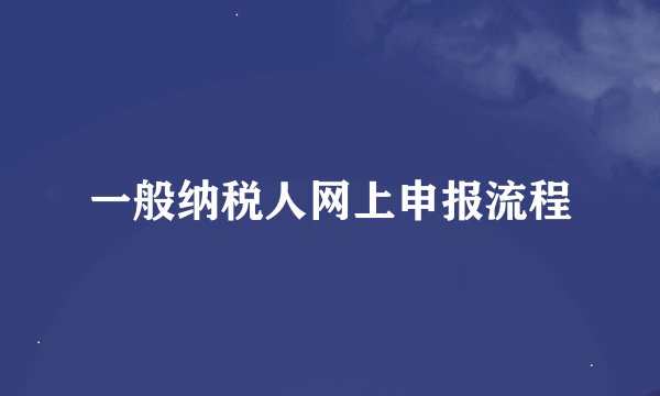 一般纳税人网上申报流程