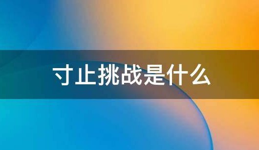寸止挑战的危害是什么?