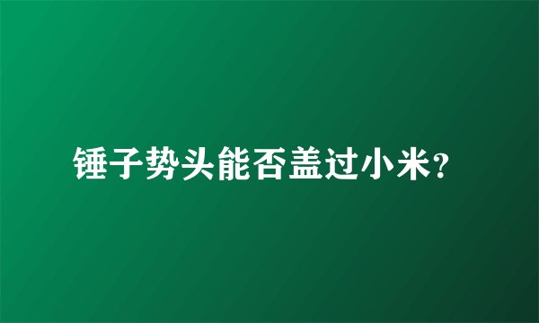 锤子势头能否盖过小米？