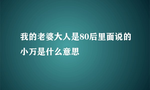 我的老婆大人是80后里面说的小万是什么意思