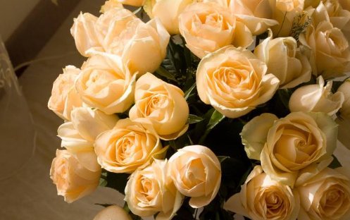 高考结束，给孩子送什么花好呢？