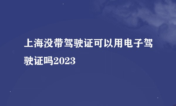 上海没带驾驶证可以用电子驾驶证吗2023