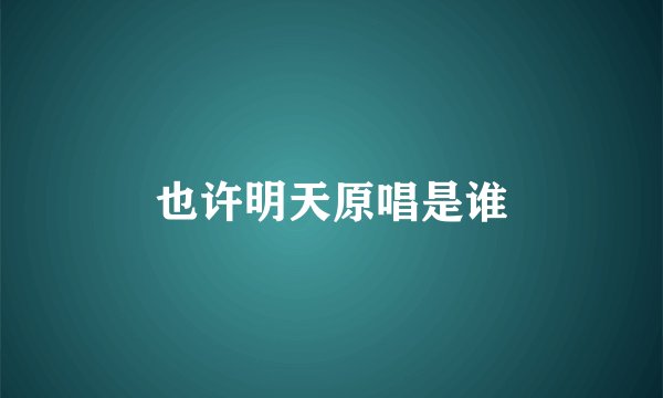 也许明天原唱是谁