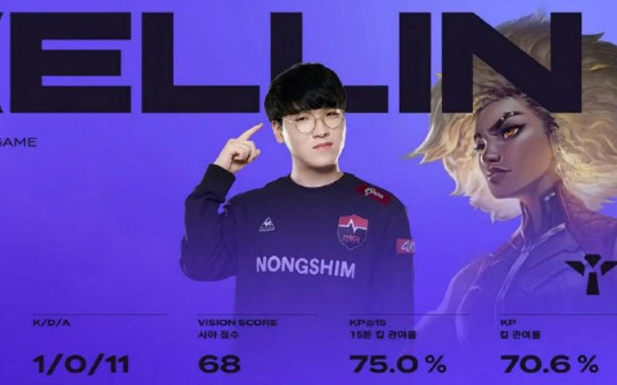 dk战队成员名单