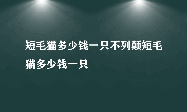 短毛猫多少钱一只不列颠短毛猫多少钱一只