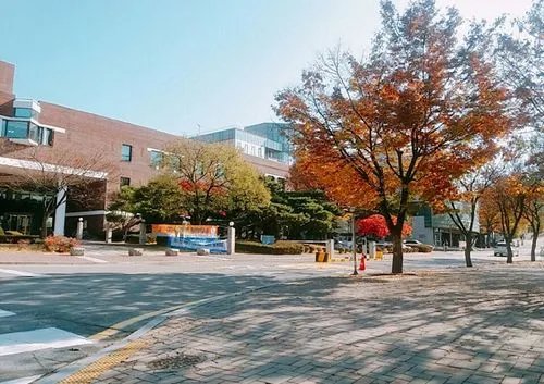 湖北省2021年高考一本分数线