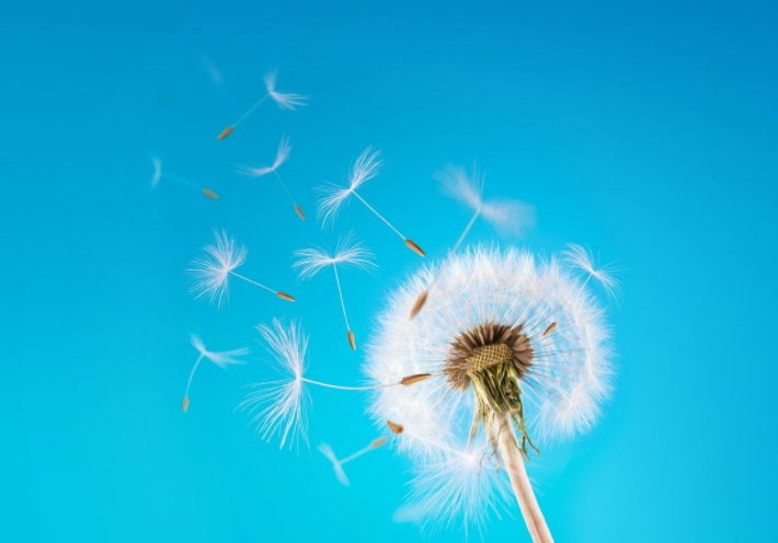 鹏字可以组哪些词？