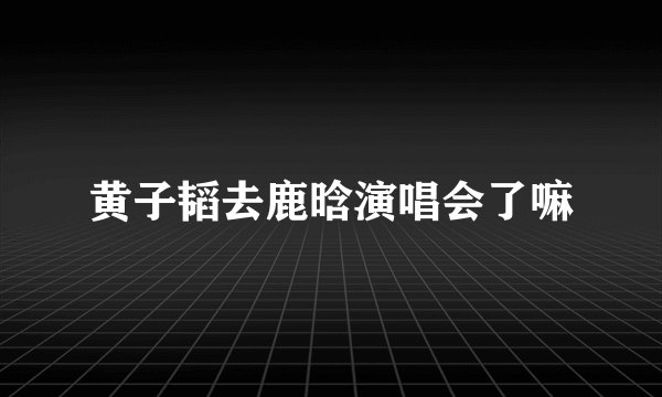 黄子韬去鹿晗演唱会了嘛