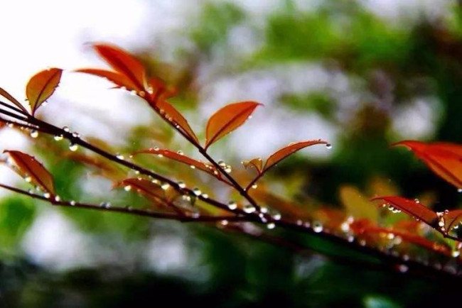 你是怎样的一个人？