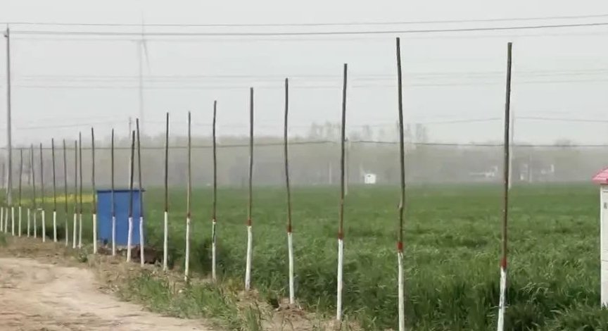 灌溉机井完工三年不通电，农田水利工程成摆设，背后有何利益关系？