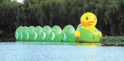 大黄鸭为什么会出名？大绿鸭怎么总是失败？