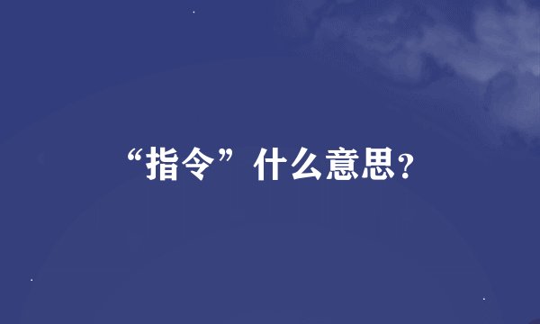 “指令”什么意思？