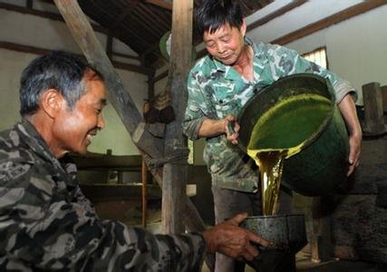 榨油怎么榨