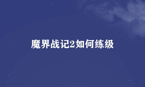 魔界战记2如何练级