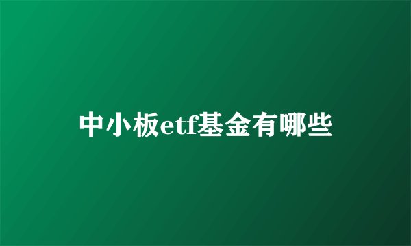 中小板etf基金有哪些