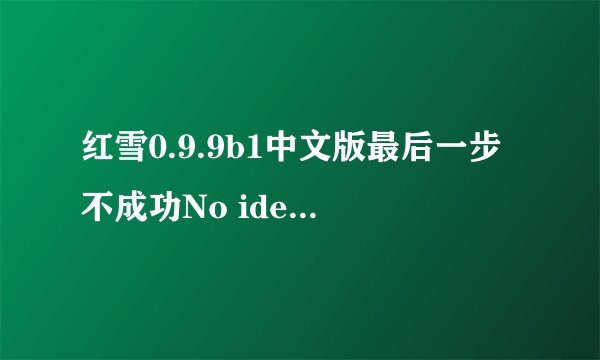 红雪0.9.9b1中文版最后一步不成功No identifying data fetched