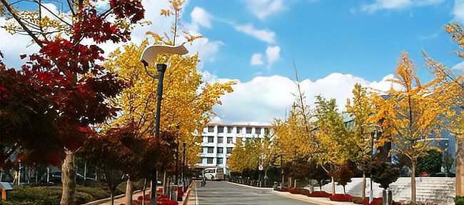 云南省单招学校有哪些