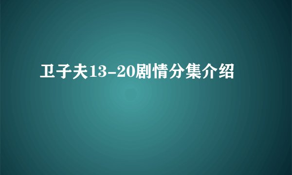 卫子夫13-20剧情分集介绍