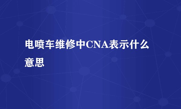 电喷车维修中CNA表示什么意思